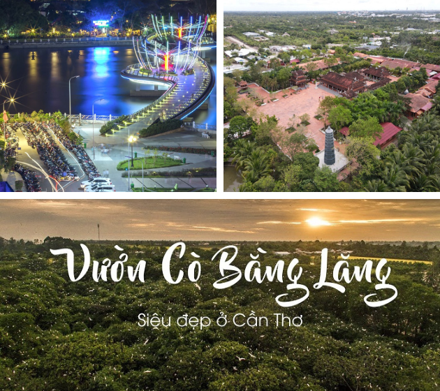 Khám Phá Cần Thơ: Những Địa Điểm Du Lịch Hấp Dẫn Không Thể Bỏ Qua